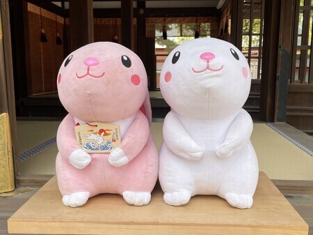 うさぎぐみ ハイペット うさぎのきわみ 850g 4個セット うさぎの極み ウサギ