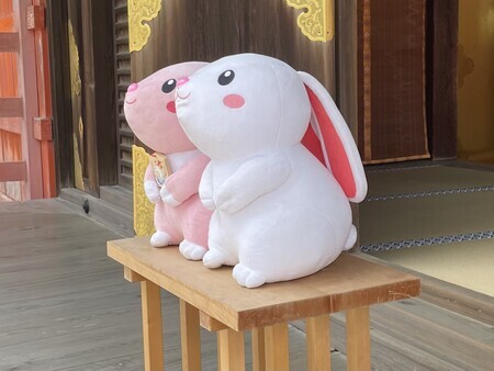 うさぎぐみ ハイペット うさぎのきわみ 850g 4個セット うさぎの極み ウサギ