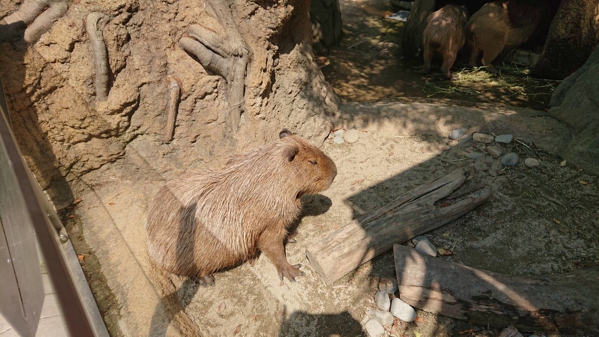 f:id:usa-tabi:20190818180019j:plain f:id:usa-tabi:20190818180019j:plain