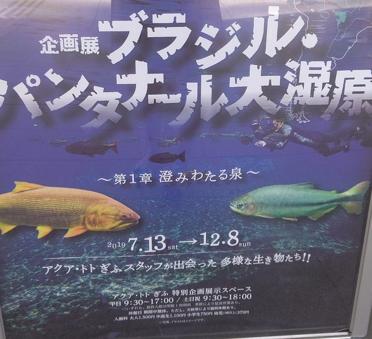 f:id:usa-tabi:20190818191859j:plain f:id:usa-tabi:20190818191859j:plain