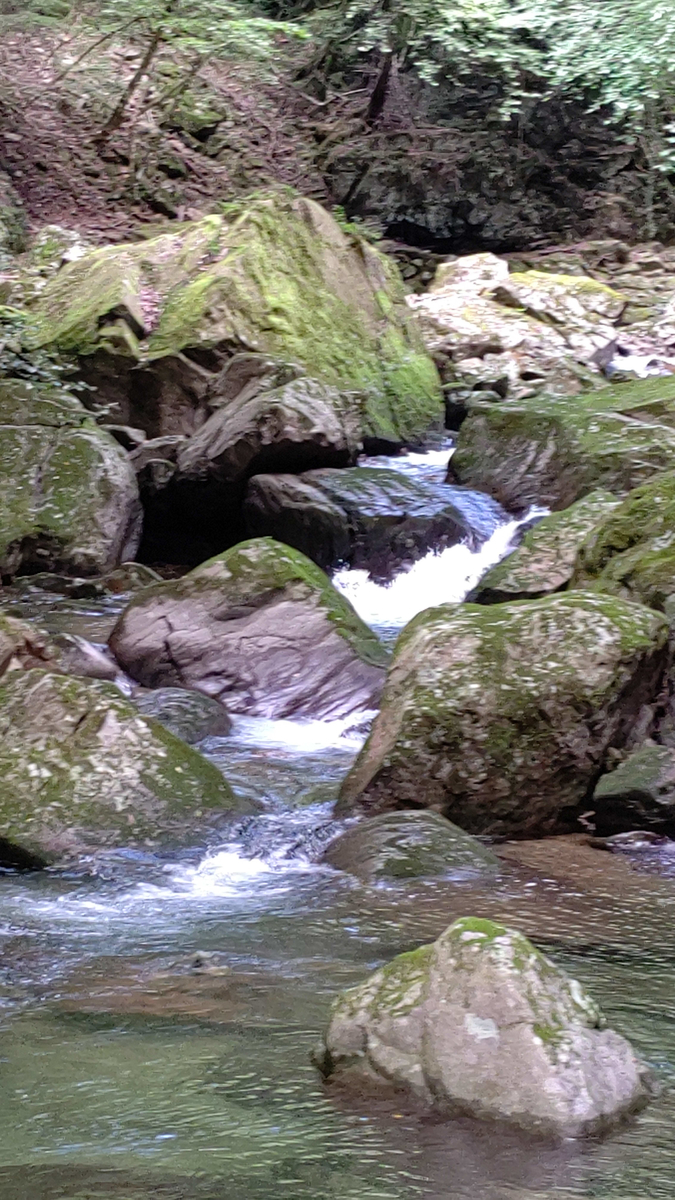 f:id:usa-tabi:20190829044951j:plain f:id:usa-tabi:20190829044951j:plain