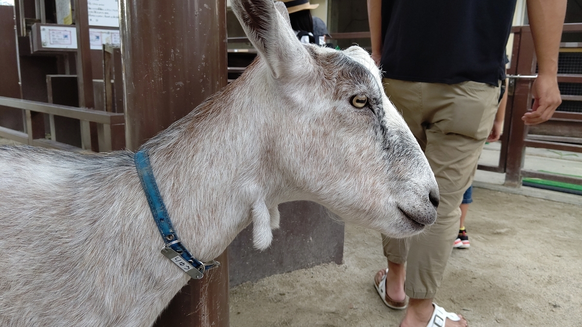 f:id:usa-tabi:20190903024152j:plain f:id:usa-tabi:20190903024152j:plain