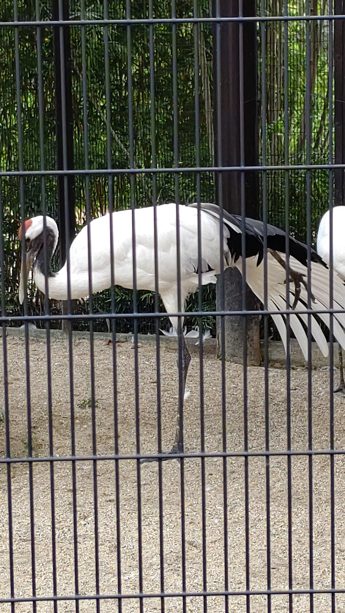 f:id:usa-tabi:20190903024423j:plain f:id:usa-tabi:20190903024423j:plain
