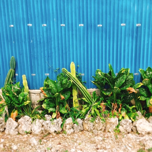 f:id:usa7chang:20190826011522j:plain f:id:usa7chang:20190826011522j:plain