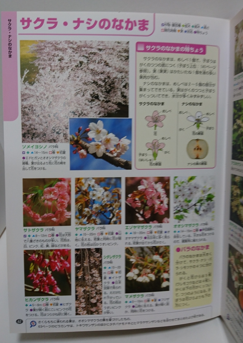 小3理科の勉強に向けて準備 植物 の図鑑 明日もきっと はなまる日和 小3理科の勉強に向けて準備 植物 の図鑑 明日もきっと はなまる日和