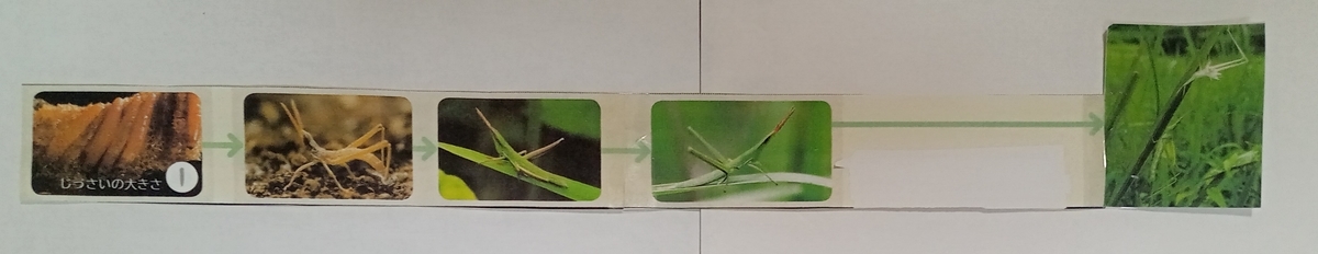 f:id:usa87mama:20211012141504j:plain