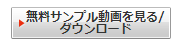 f:id:usa9696:20201212220006p:plain
