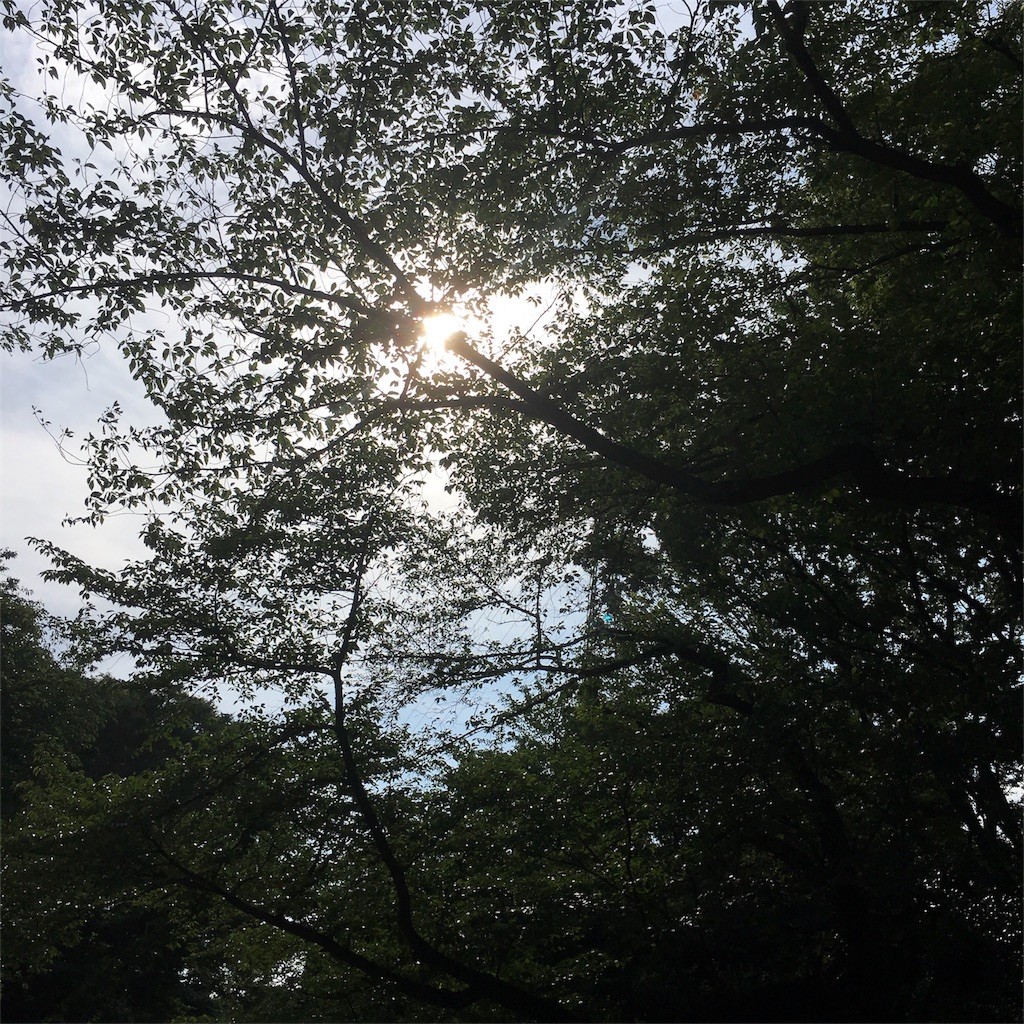 f:id:usabo:20160703165032j:image f:id:usabo:20160703165032j:image