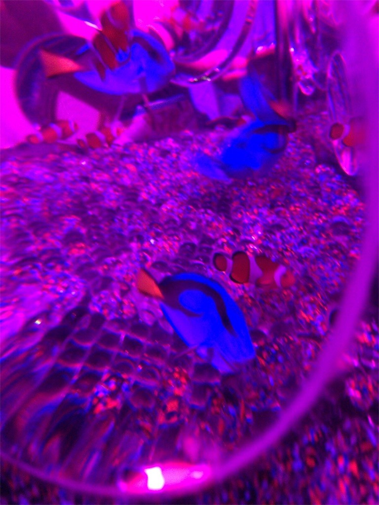 f:id:usabo:20160919104140j:image