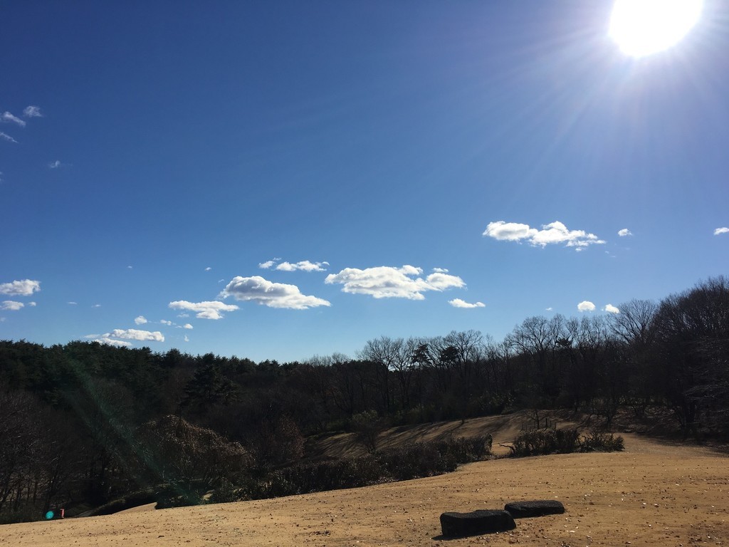 f:id:usabo:20190102102410j:plain f:id:usabo:20190102102410j:plain