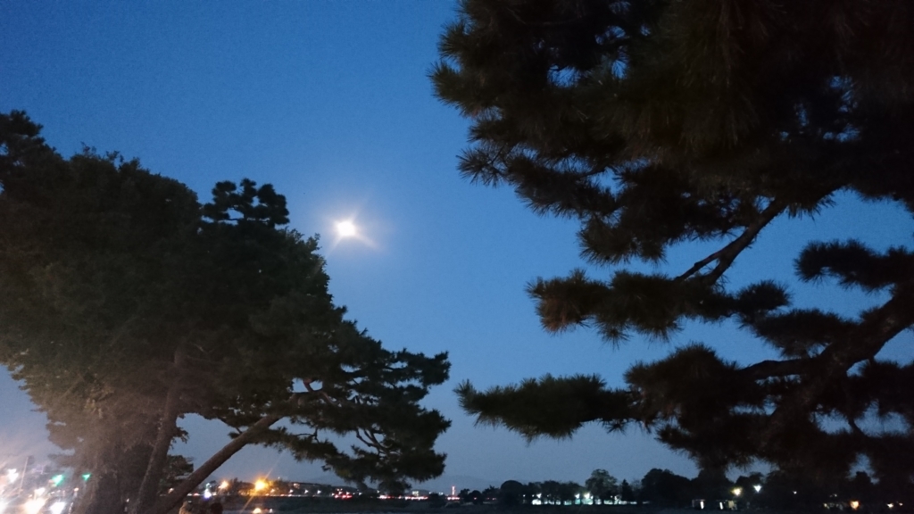 f:id:usacats:20161118172320j:plain f:id:usacats:20161118172320j:plain