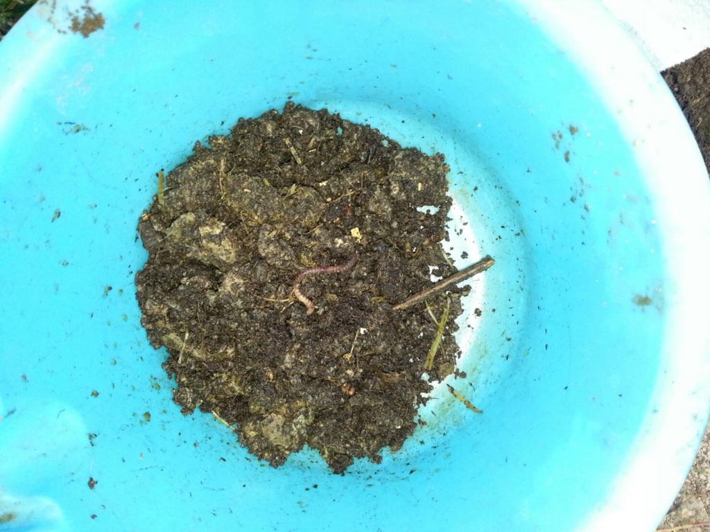 f:id:usachannel:20170516194608j:plain f:id:usachannel:20170516194608j:plain