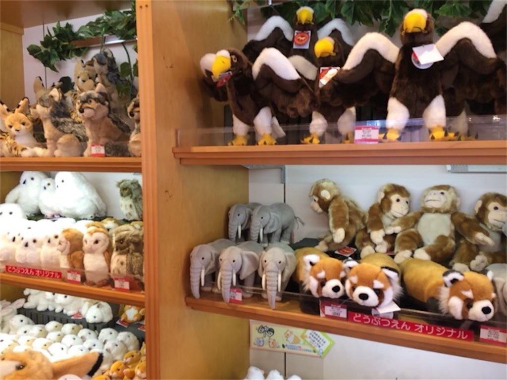 fidusachanshop20180726014836jimage