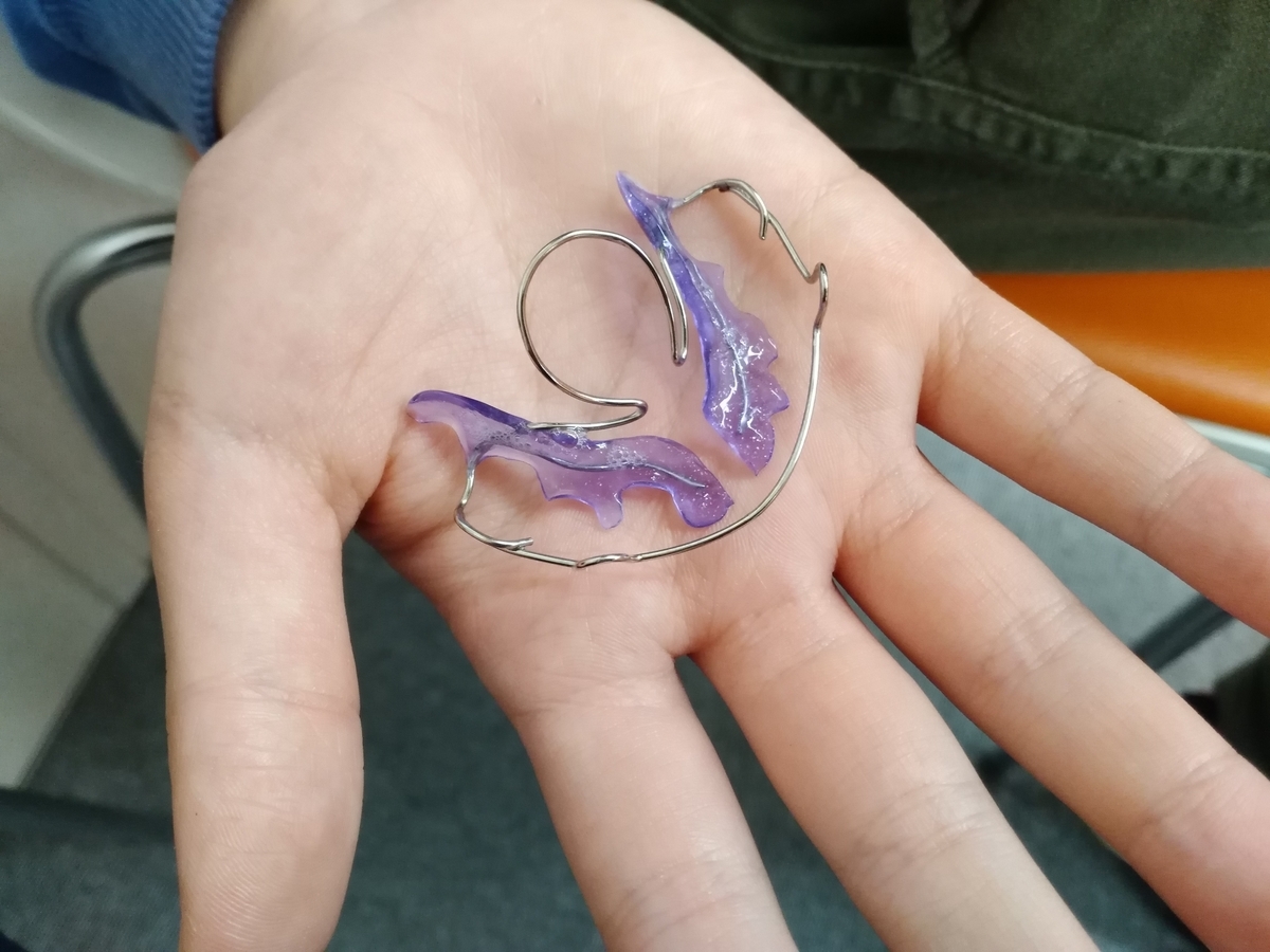 f:id:usacomam:20190325221846j:plain