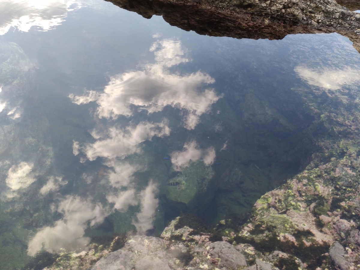 f:id:usacomam:20191106010454j:plain