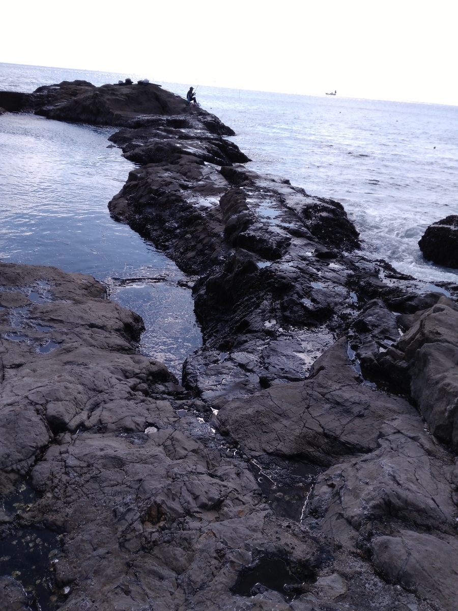 f:id:usacomam:20191106011833j:plain