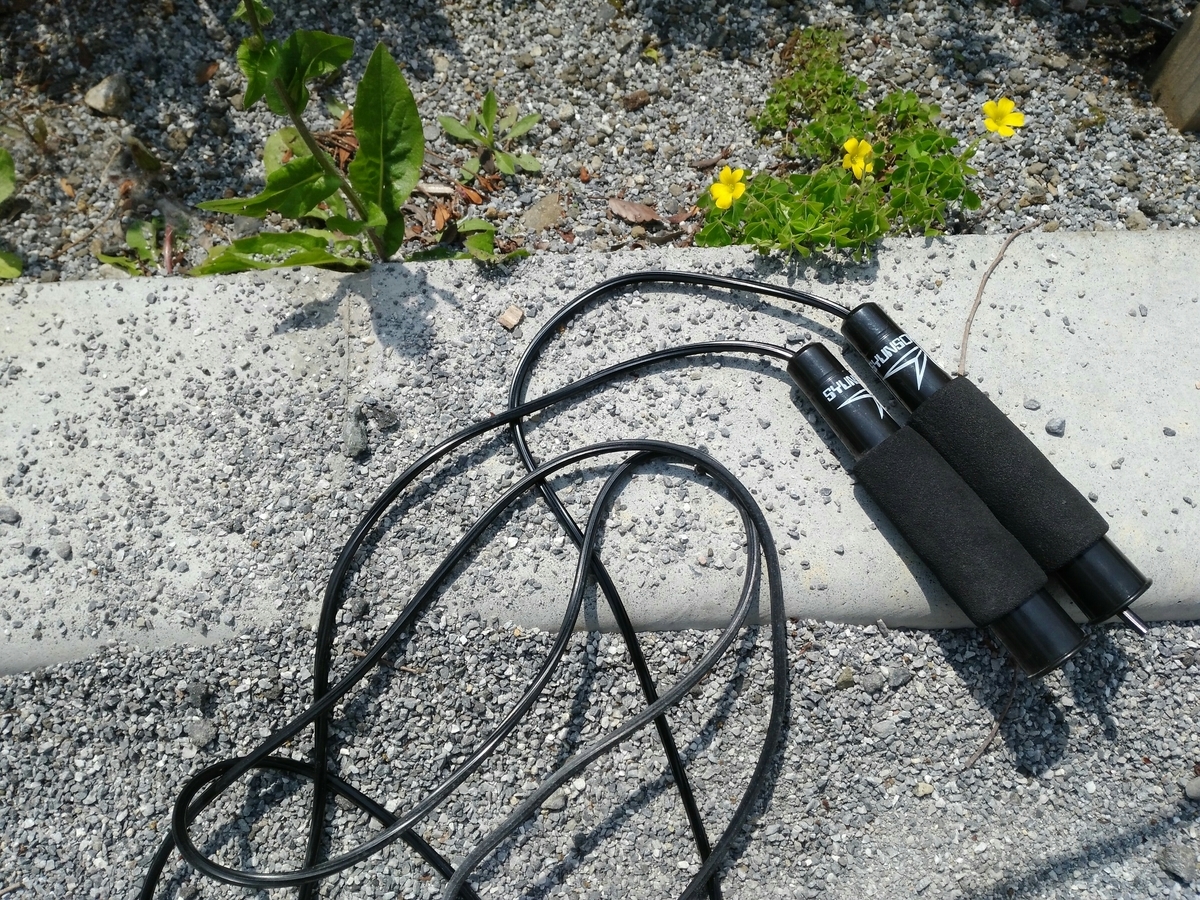 f:id:usacomam:20200419225316j:plain f:id:usacomam:20200419225316j:plain