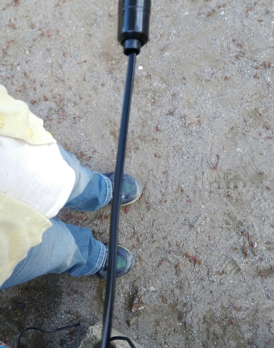 f:id:usacomam:20200419225348j:plain f:id:usacomam:20200419225348j:plain