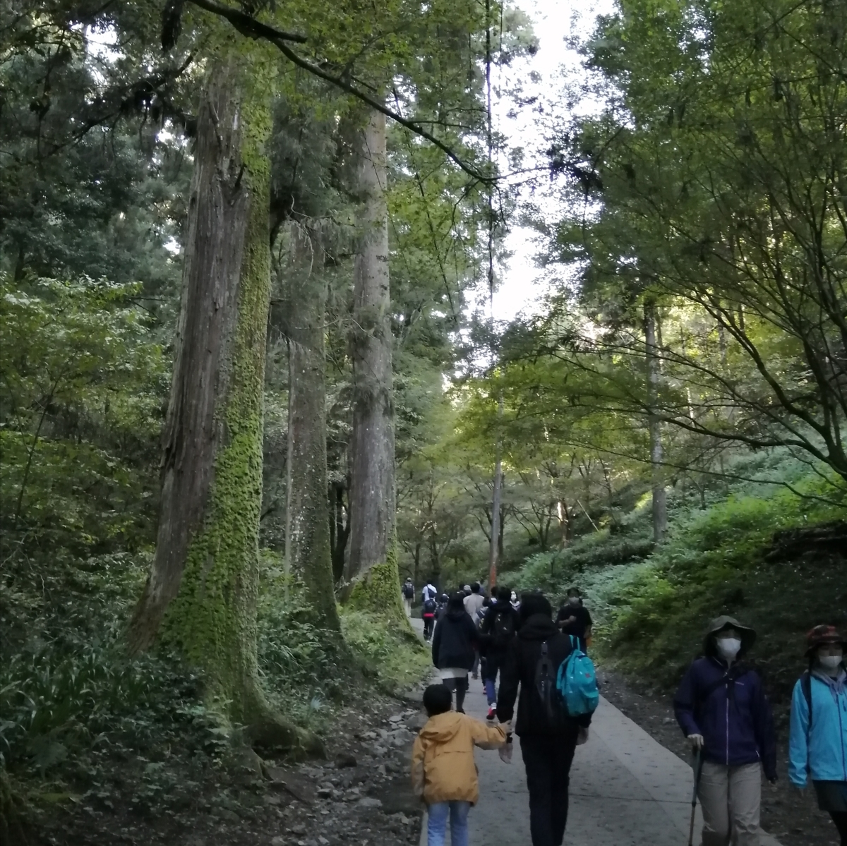 f:id:usacomam:20201026223530j:plain