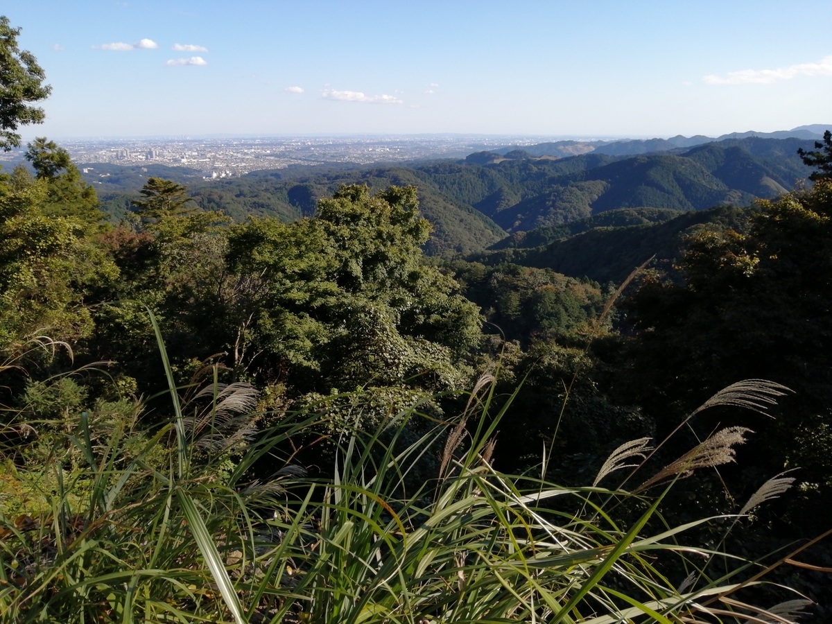 f:id:usacomam:20201026223850j:plain