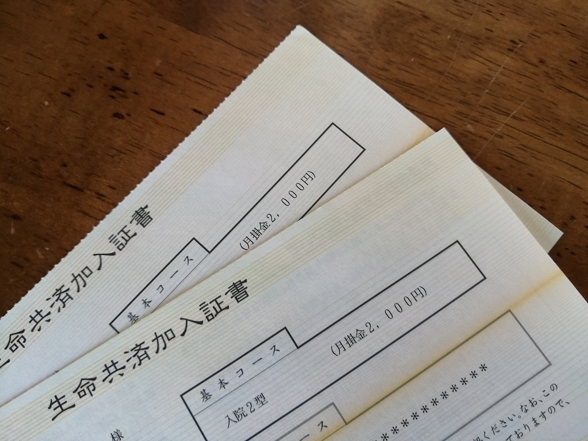 f:id:usacomam:20210213103250j:plain