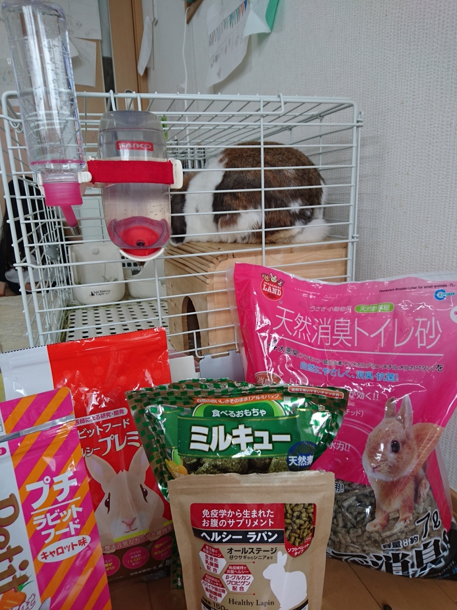 f:id:usagi-company-lab:20200413113143j:plain f:id:usagi-company-lab:20200413113143j:plain