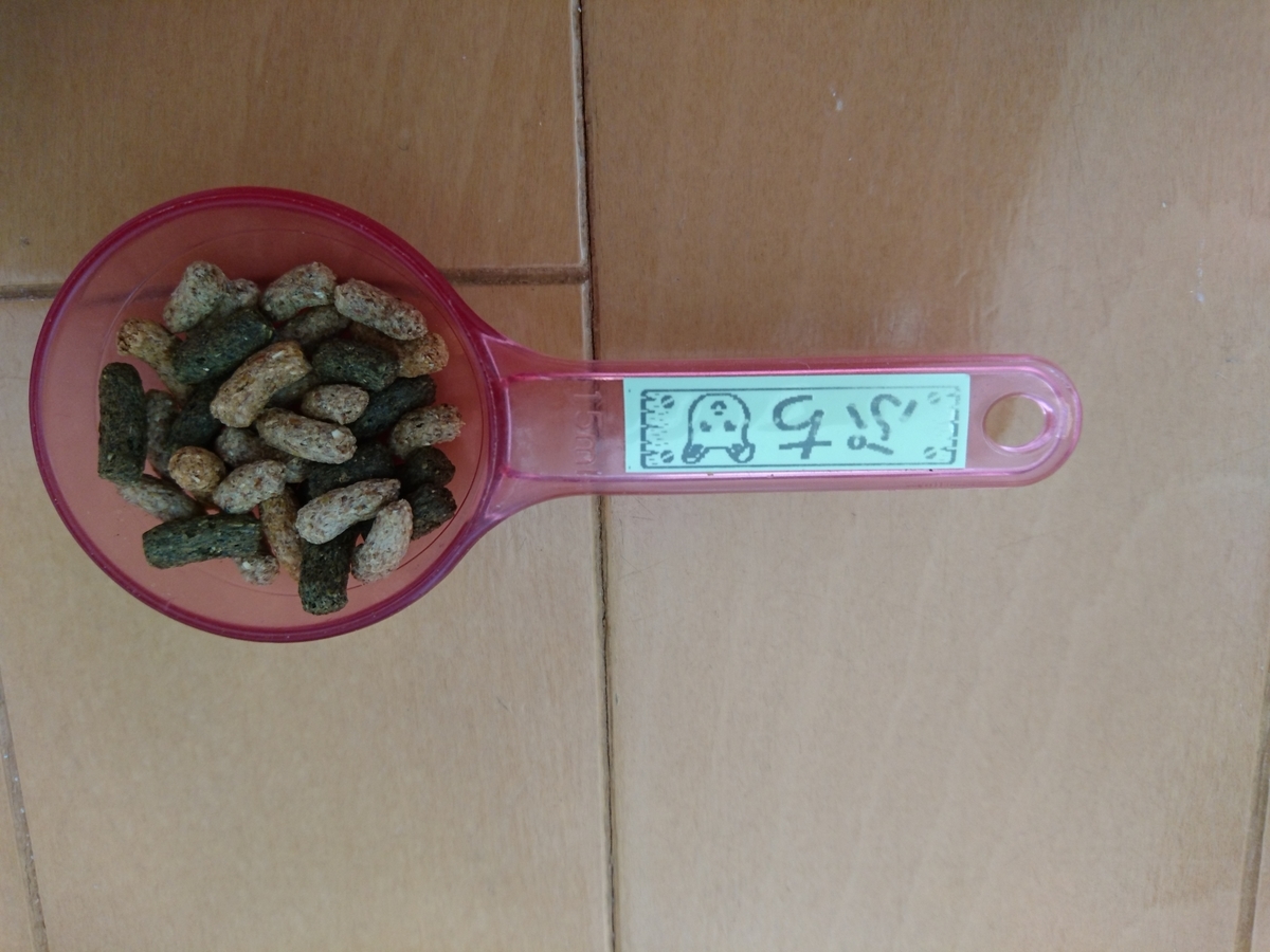 f:id:usagi-company-lab:20200903145211j:plain f:id:usagi-company-lab:20200903145211j:plain