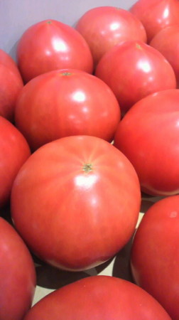 f:id:usagi-net:20110521113518j:image f:id:usagi-net:20110521113518j:image