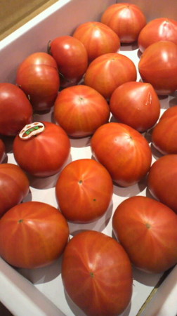 f:id:usagi-net:20110523142457j:image f:id:usagi-net:20110523142457j:image