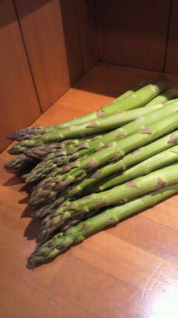 f:id:usagi-net:20110524142246j:image f:id:usagi-net:20110524142246j:image