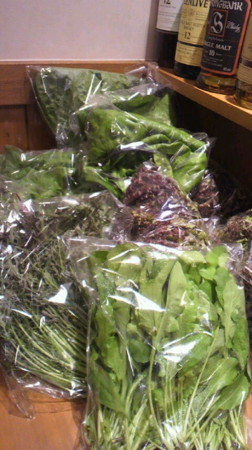 f:id:usagi-net:20110524143339j:image