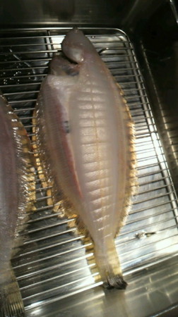 f:id:usagi-net:20120209215308j:image
