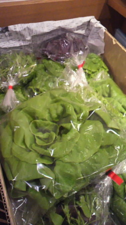 f:id:usagi-net:20120215143921j:image f:id:usagi-net:20120215143921j:image