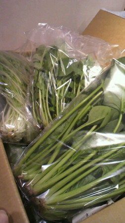 f:id:usagi-net:20120215144300j:image