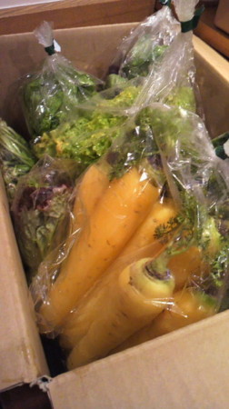f:id:usagi-net:20120301145154j:image f:id:usagi-net:20120301145154j:image