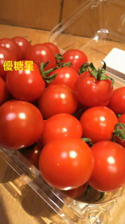 f:id:usagi-net:20120328142013j:image f:id:usagi-net:20120328142013j:image