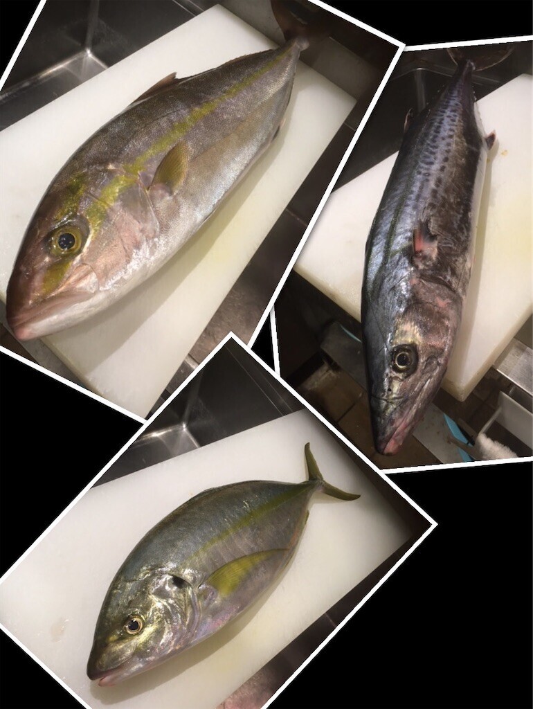 f:id:usagi-net:20231206133634j:image f:id:usagi-net:20231206133634j:image