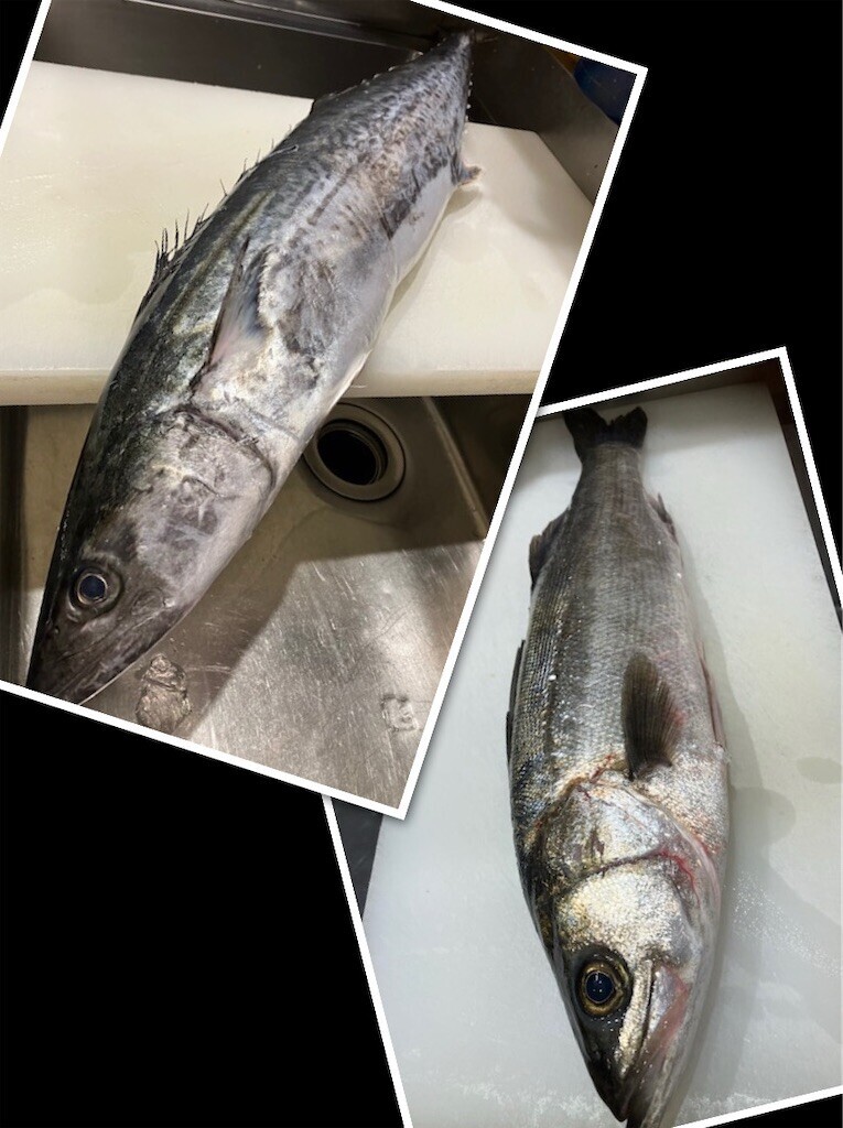 f:id:usagi-net:20260721145911j:image f:id:usagi-net:20260721145911j:image