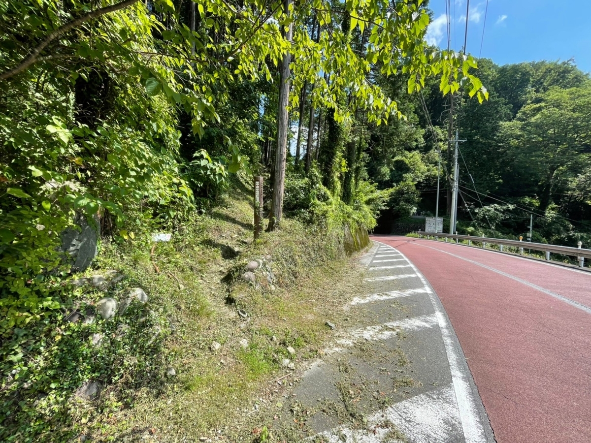 f:id:usagi100335:20210725173734j:plain