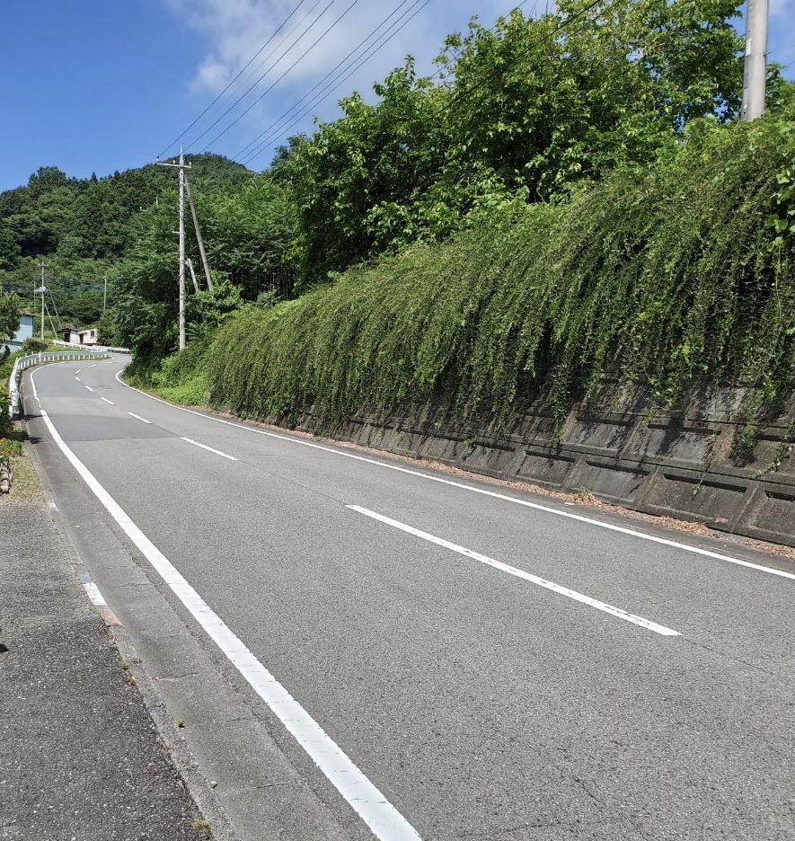 f:id:usagi100335:20210725175337j:plain