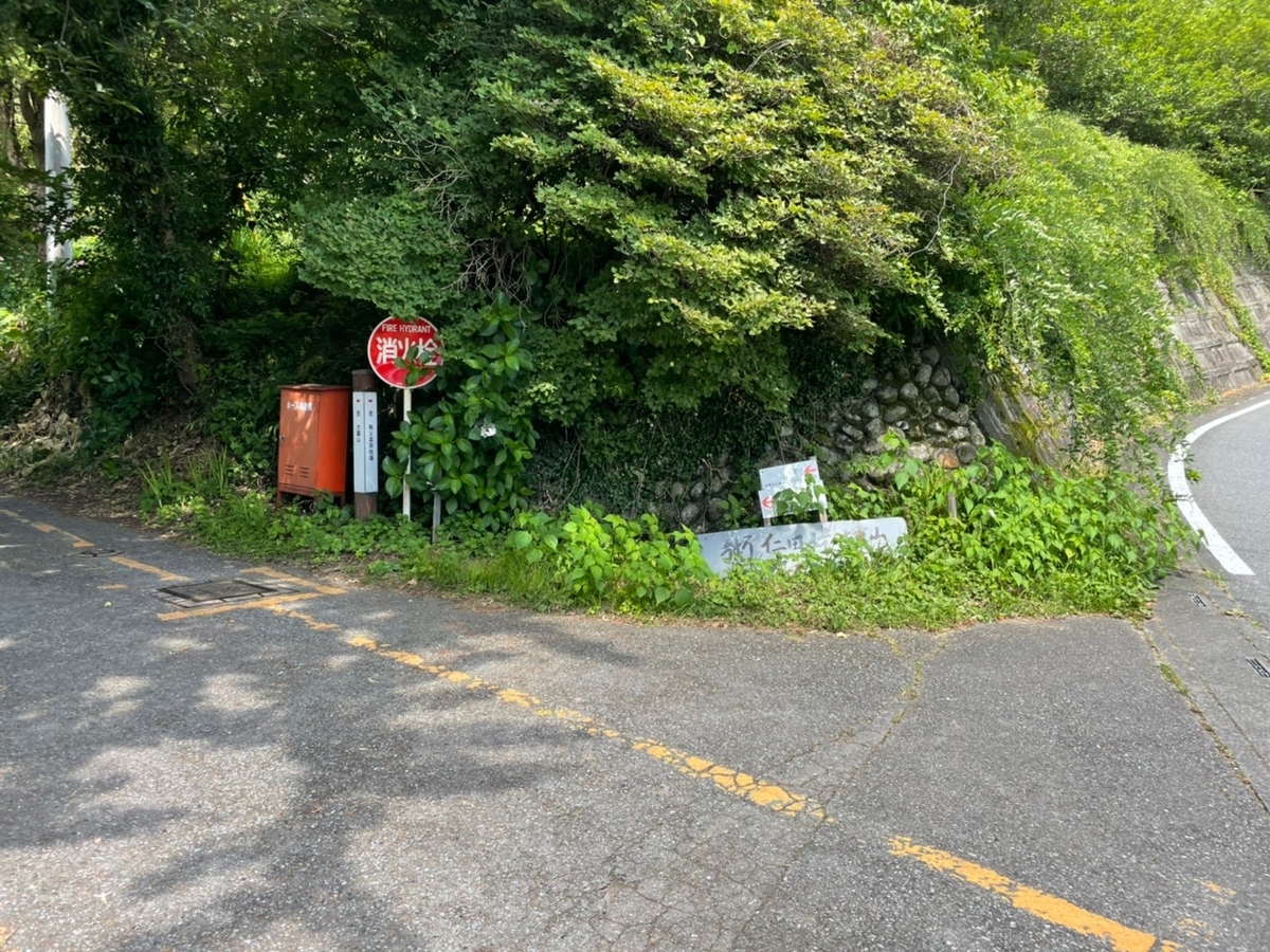 f:id:usagi100335:20210725180053j:plain