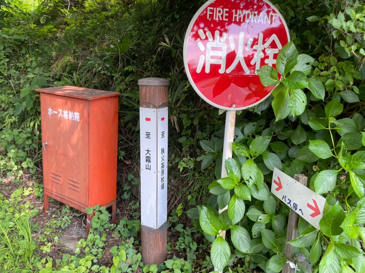 f:id:usagi100335:20210725180101j:plain
