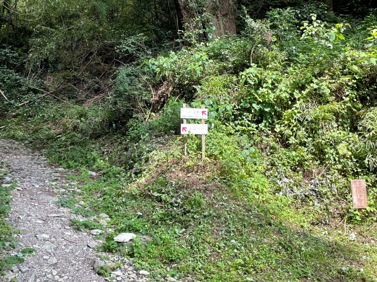f:id:usagi100335:20210725180923j:plain