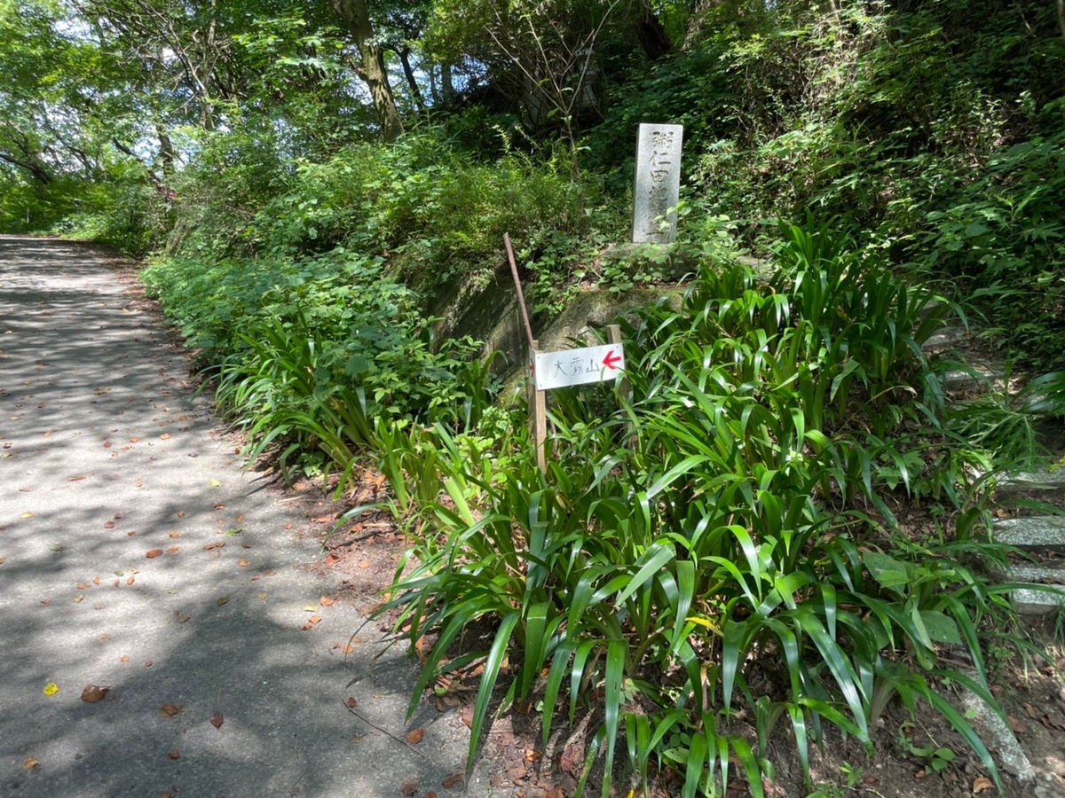 f:id:usagi100335:20210725181814j:plain