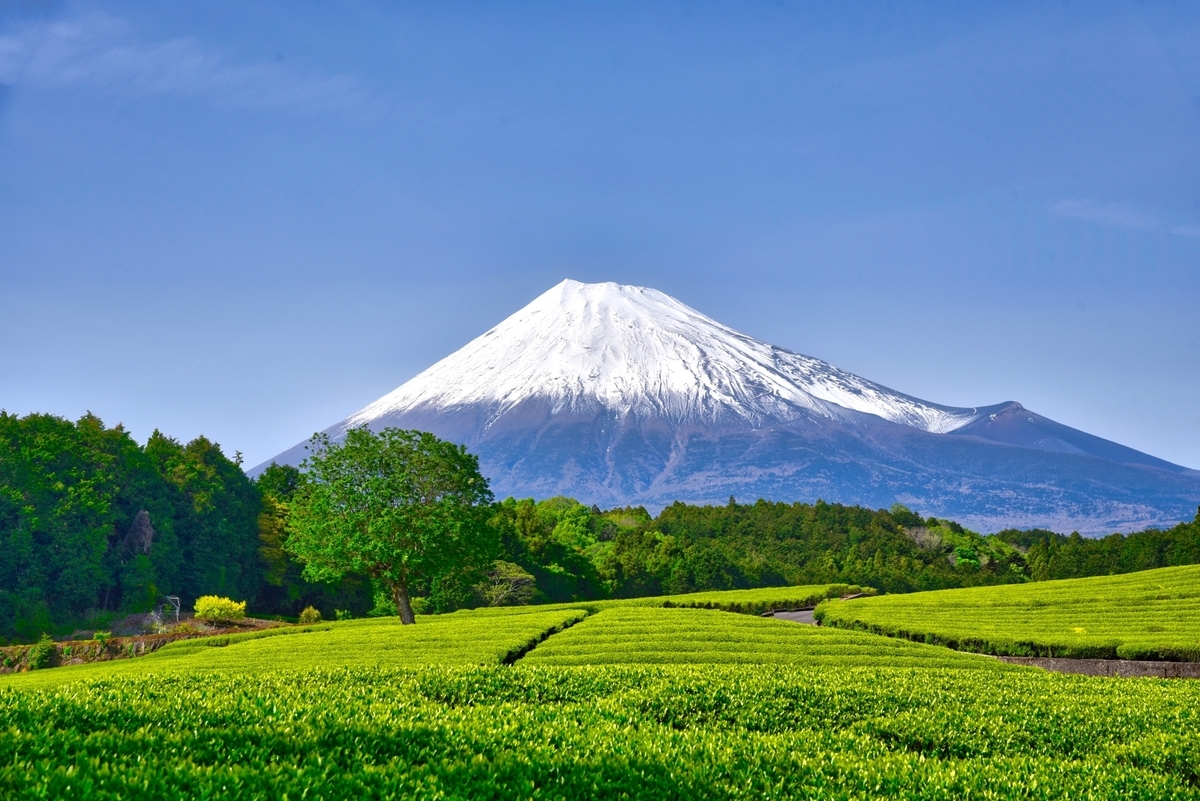 f:id:usagi100335:20210807101712j:plain