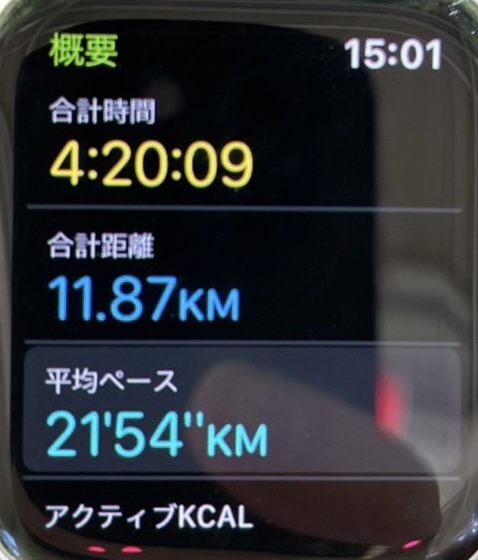 f:id:usagi100335:20210922211546j:plain