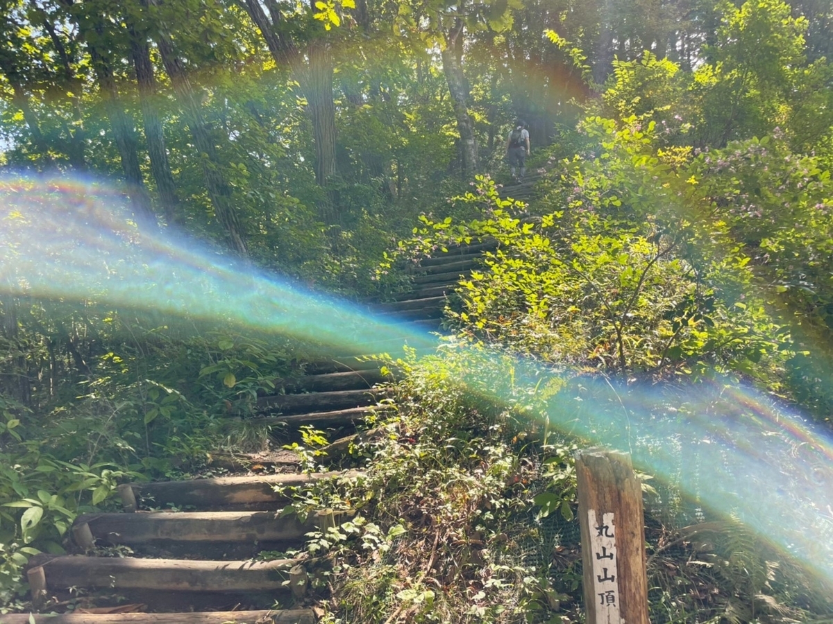 f:id:usagi100335:20210926135705j:plain