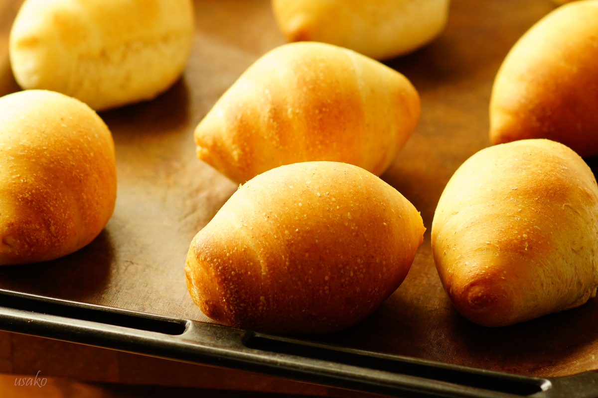 f:id:usagi1108:20220208172758j:plain