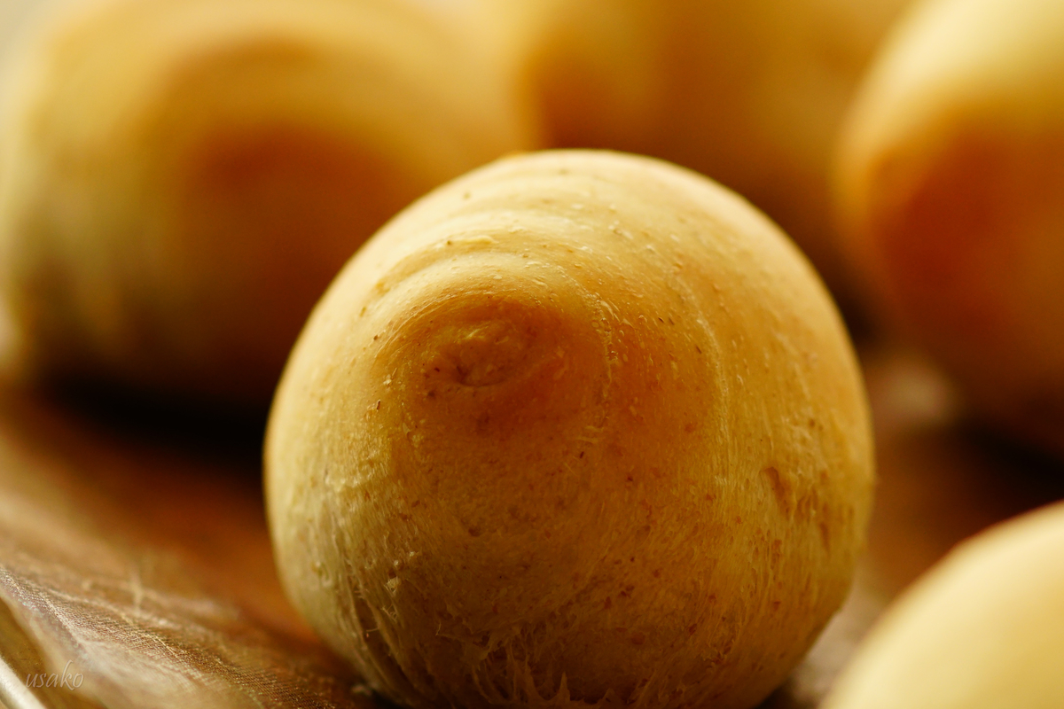 f:id:usagi1108:20220208173738j:plain