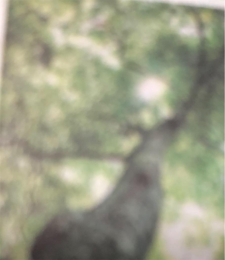 f:id:usagi201906:20250721182902j:image
